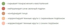 LavelleCollection Набор консилеров NB-CK Conseal kit