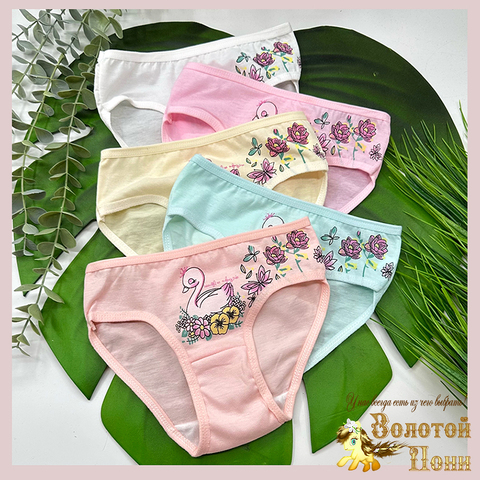 Трусики девочке (2-7) 250425-G1567