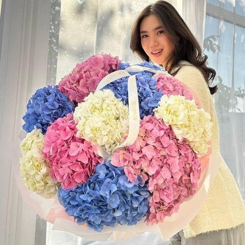 Hydrangeas 11