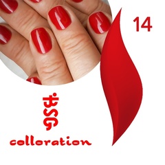 BSG Colloration, №14 Классический красный оттенок BSG Colloration, №14 Классический красный оттенок