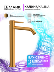 Смеситель для умывальника высокий Lemark LMF-2115S-BRG 
