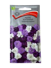 Иберис зонтичный Ежевичные меренги (Поиск)
