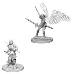 Aasimar Female Paladin / Аазимарские женщины-паладины