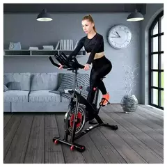 Schwinn 700IC