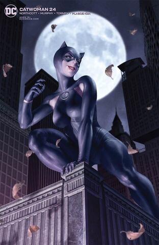 Catwoman Vol 5 #24 (Cover B)