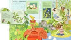 Растения: от петрушки до секвойи