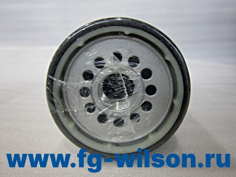 Фильтр топливный / FUEL FILTER АРТ: 10000-71729