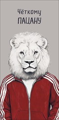 Открытка-конверт Четкому пацану, 8*17 см, 5 шт.
