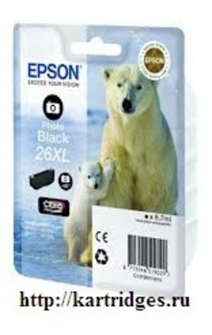 Картридж Epson C13T26314010