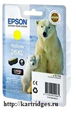 Картридж Epson C13T26344010