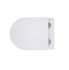 Aquatek SET Aquatek ЕВРОПА cmp016 SET Aquatek ЕВРОПА cmp016 (рама Aquatek Standard INS-0000012, клавиша KDI-0000016, крепеж KKI-0000002+унитаз ЕВРОПА AQ1106-00 с тонким сиденьем sc)