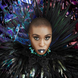 MVULA, LAURA: The Dreaming Room (Компакт-диск)