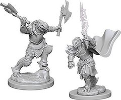 Dragonborn Female Fighter / Драконорождённые воительницы