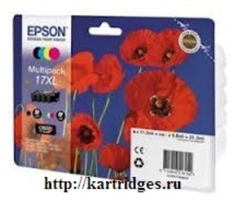 Картридж Epson C13T17164A10