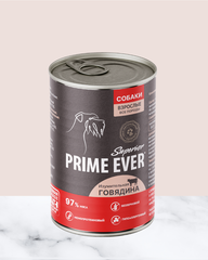 Prime Ever