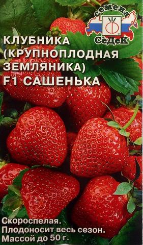 Семена Земляника Сашенька F1