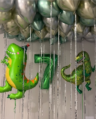 Шары динозавры на 7 лет новосибирск | Wonderball-project.ru