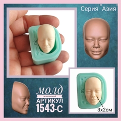 1543-С Молд силиконовый из серии Азия 