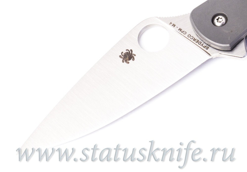 Нож Spyderco Mantra C202TIP