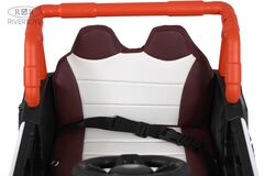 BUGGY M303BX