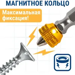 Бита отверточная ПРАКТИКА Профи PH-2/PZ-2 х 65 с магнитным кольцом (2 шт)