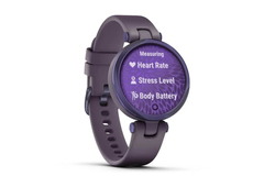 Спортивные часы Garmin Lily Sport Orchid