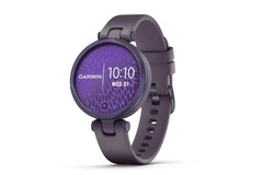 Спортивные часы Garmin Lily Sport Orchid