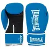 Боксерские перчатки Lonsdale Ashdon син.