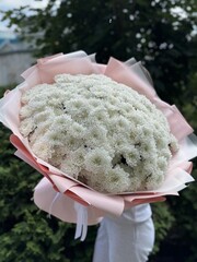 Букет из 35 кустовых хризантем сорта "Алтай"