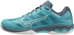 Кроссовки мужские Mizuno Wave Exceed Light All Court