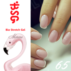 BSG №65 Мечта BSG №65 Мечта