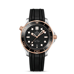Omega 21022422001002