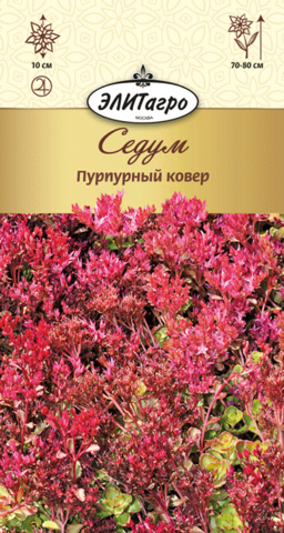 Семена Седум (Очиток) Пурпурный ковер, мнг