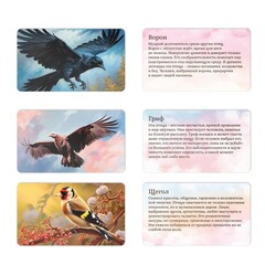 Аналоги Метафорические ассоциативные карты «Полёт моей души», 50 карт (7×12 см), 16+