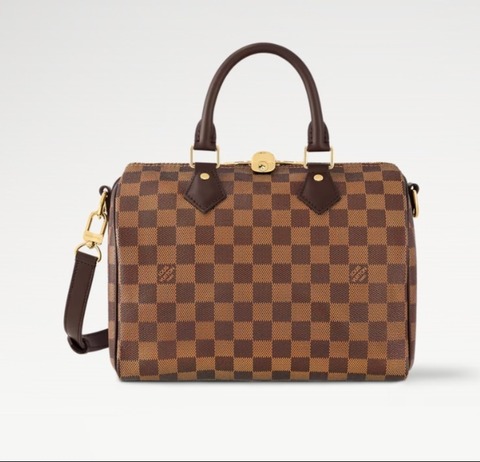 Сумка Louis Vuitton Speedy Damier Ebene