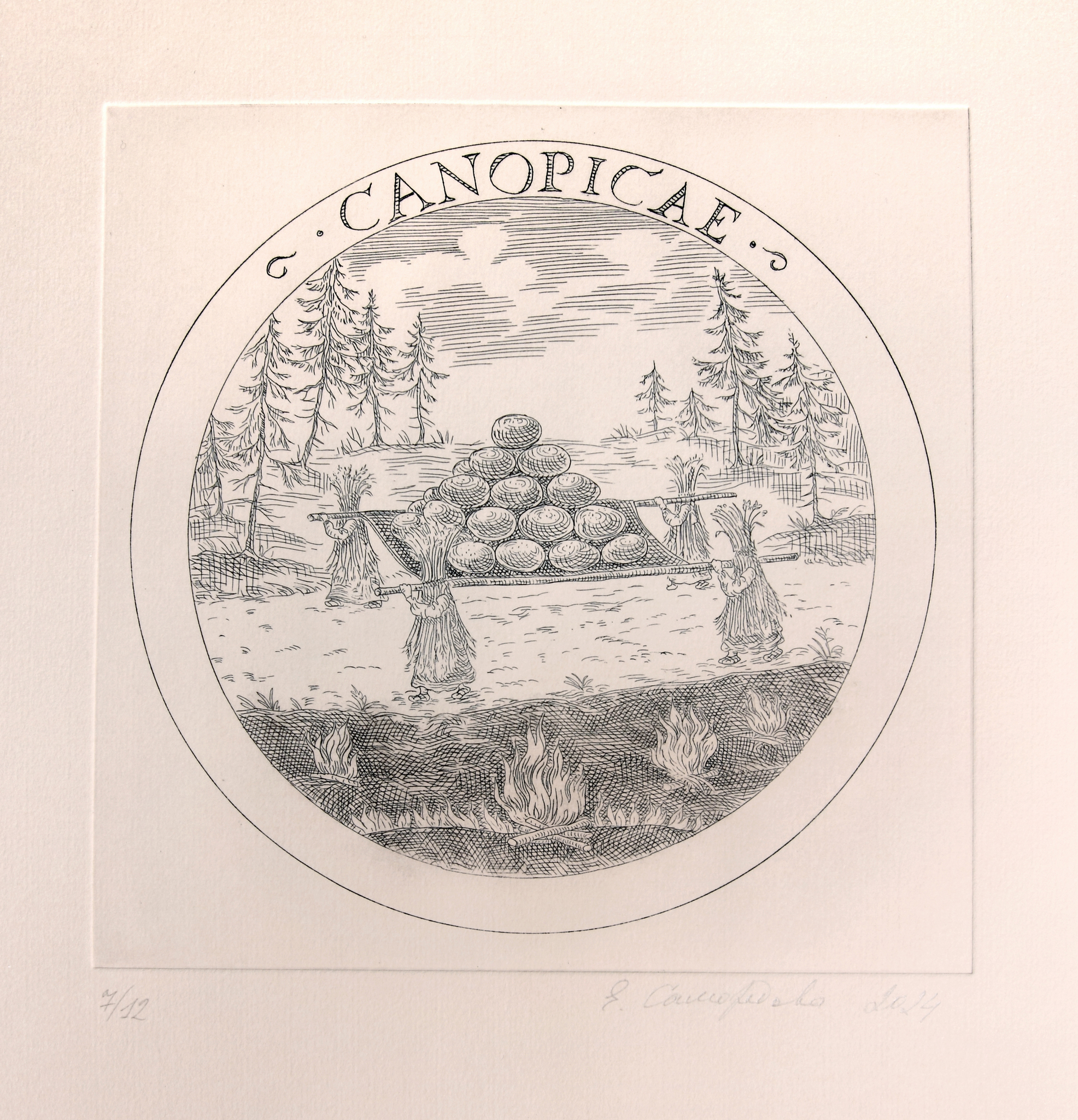 Canopicae