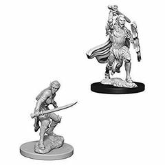 Female Elf Fighter / Эльфийки-воительницы