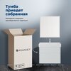 Aquanet 348193 Тумба с раковиной Nova Lite 2.0 75 2 ящ. цв. белый глянец (348193)