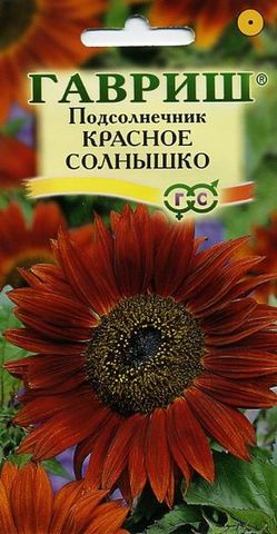Семена Подсолнечник Красное солнышко, Одн