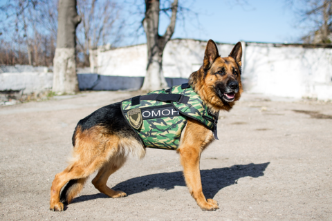 Жилет защитный кинологический НОРД-2