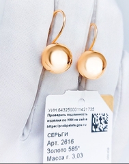 2616- Серьги 