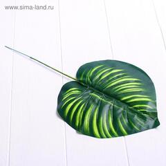 Растение искусственное, Лист Диффенбахия, 40*13 см, 5 шт.
