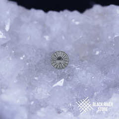 Round Texture