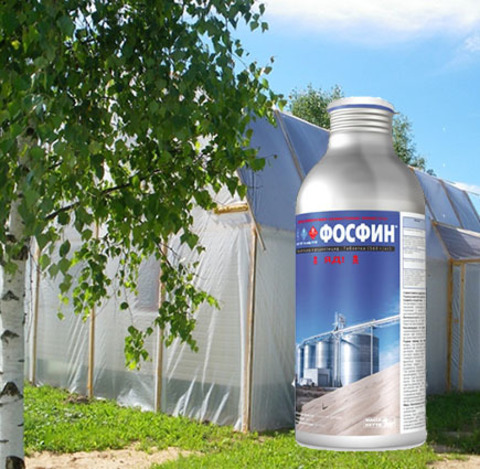 Ликвидация древоточцев фосфином - газация