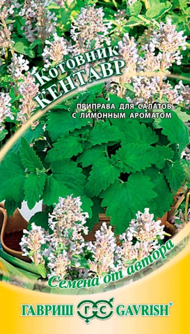 Семена Котовник Кентавр, Мнг