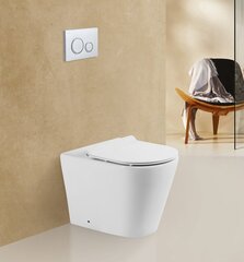 BelBagno Flay-R BB1003CBR Унитаз приставной безободковый, P-trap, цвет: белый фото