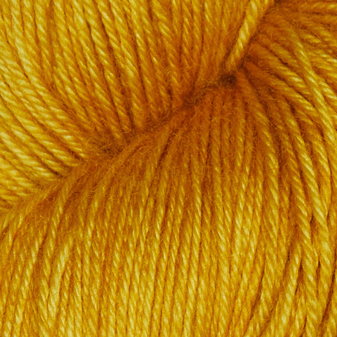 Symfonie Terra 2006