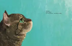 Кот без имени