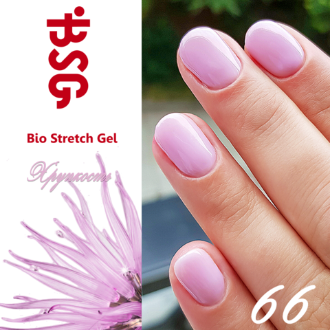 BSG №66 Хрупкость купить за 450&nbsp;руб