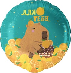 Шар К 18